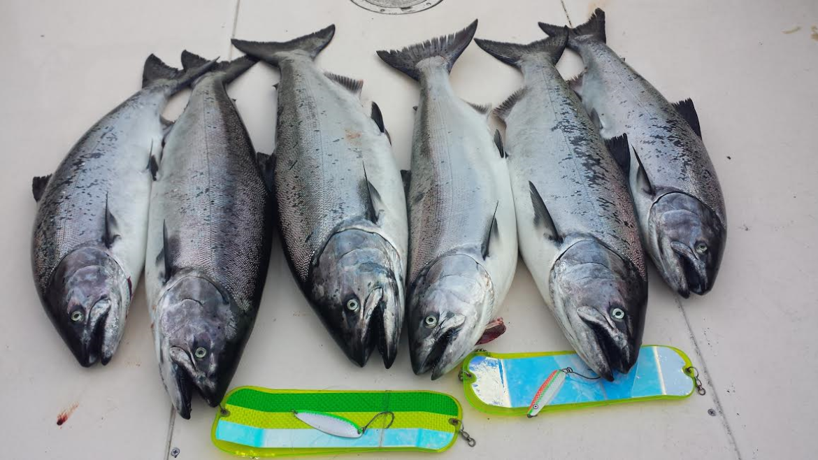 Vancouver Fishing Charter Limit Catch